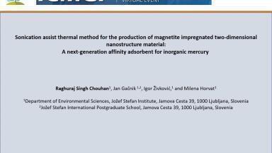 Sonication assist thermal method for the production of magnetite impregnated two-dimensional nanostructure